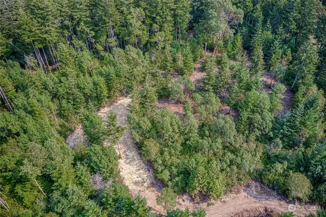 an aerial view of residential house with outdoor space and trees all around