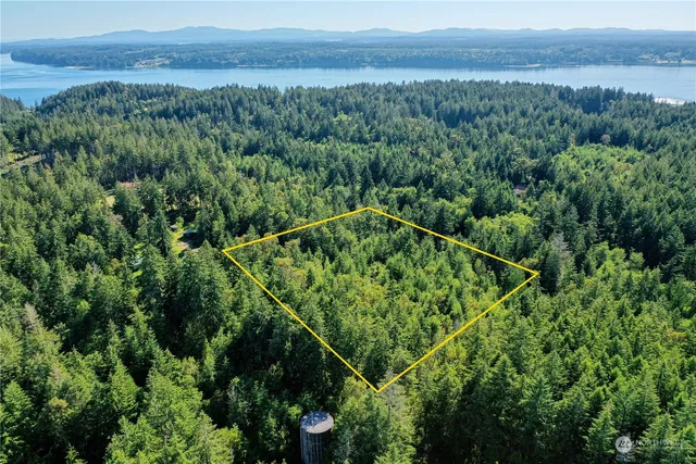 a view of a forest with a lake and mountain view