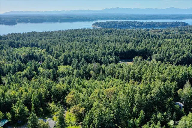 an aerial view of residential house with outdoor space and trees all around