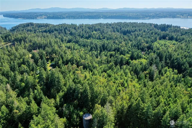 an aerial view of green landscape with trees and houses