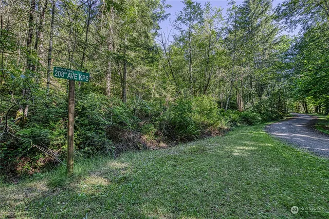 a view of a lush green forest