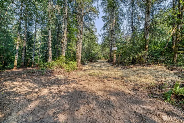 a view of outdoor space with trees