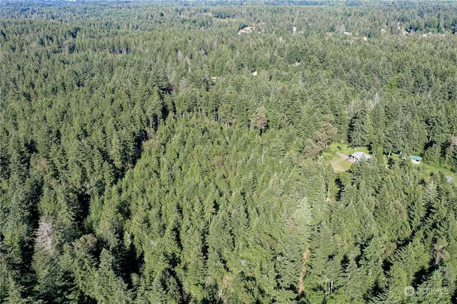 a view of a lush green field