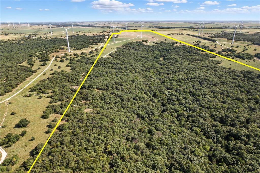 3207 County Road 431 Muenster, TX 76252 - Photo 3 of 6