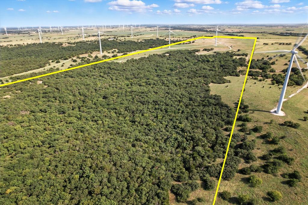 3207 County Road 431 Muenster, TX 76252 - Photo 4 of 6