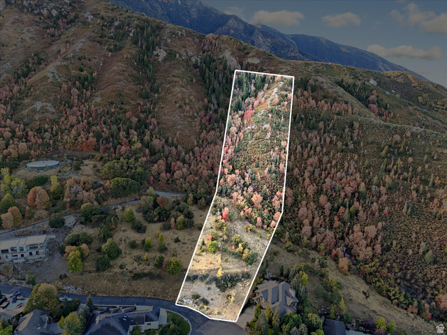 Expansive mountain lot featuring varied topography and natural vegetation