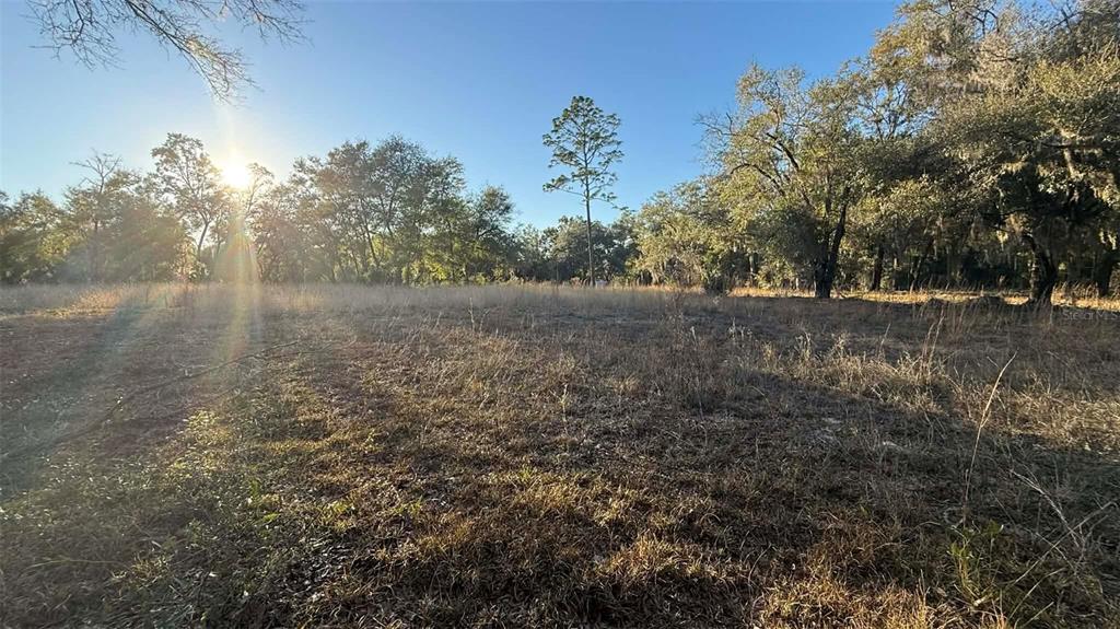 Northeast 40th Street Williston, FL 32696 - Photo 2 of 5