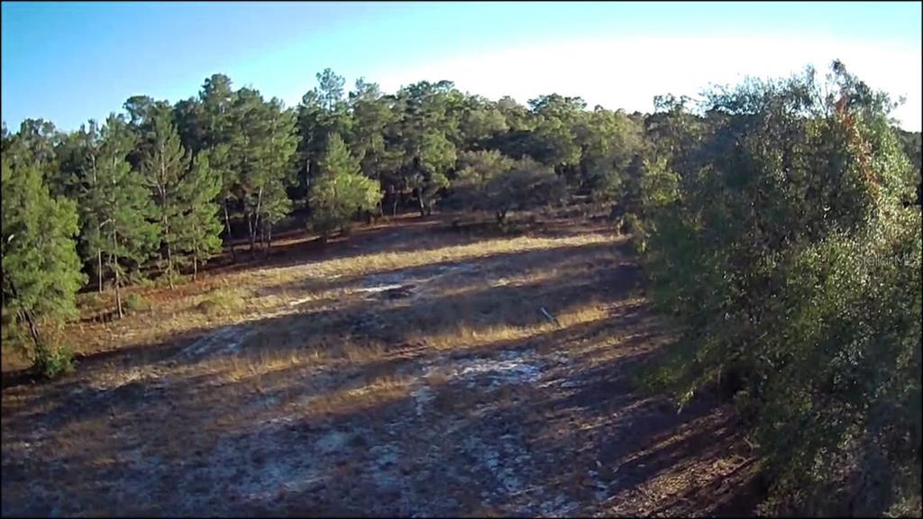 Northeast 40th Street Williston, FL 32696 - Photo 3 of 5