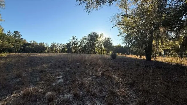 $50,000 | Northeast 40th Street, Williston, FL 32696