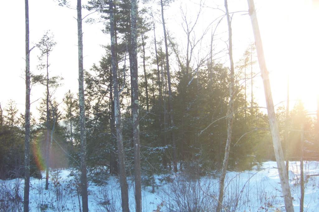 Lot #24 Foxes Ridge Road Acton, ME 04001 - Photo 12 of 17 Photo