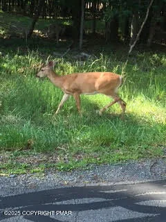 $27,900 | Lot 14.15-17 Lot 14.15-17 Pocono Mountain Lake Drive, Bushkill, PA 18324