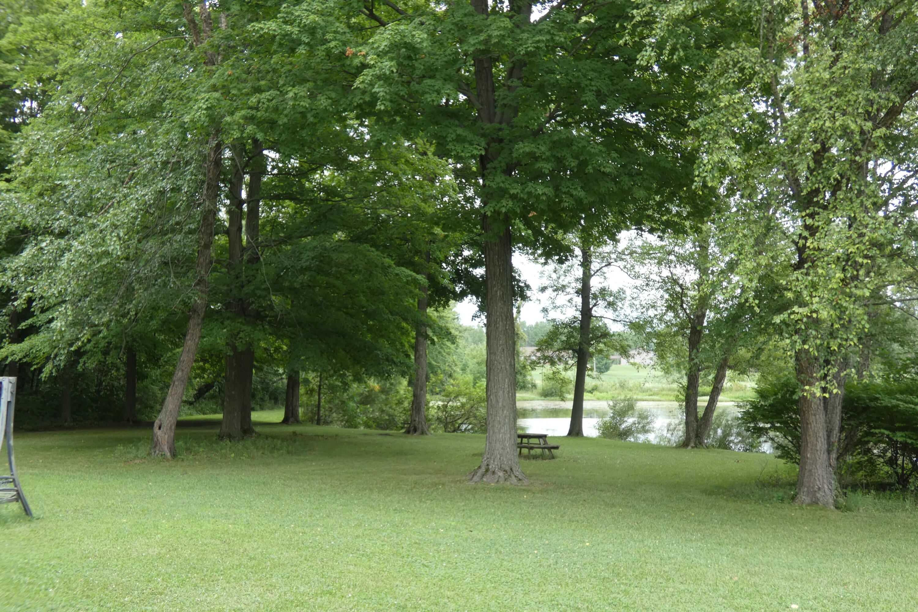 6290 Bailey Road Eau Claire, MI 49111 - Photo 46 of 48 P1010513