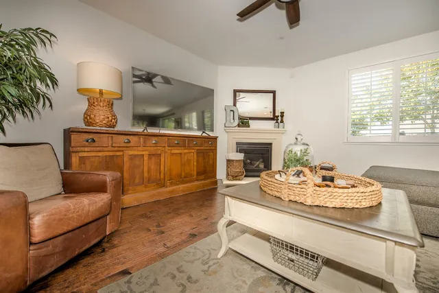 a living room with furniture and a potted plant
