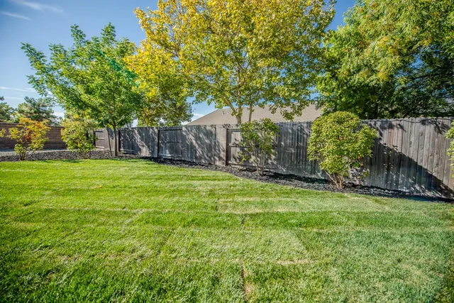 a view of a backyard