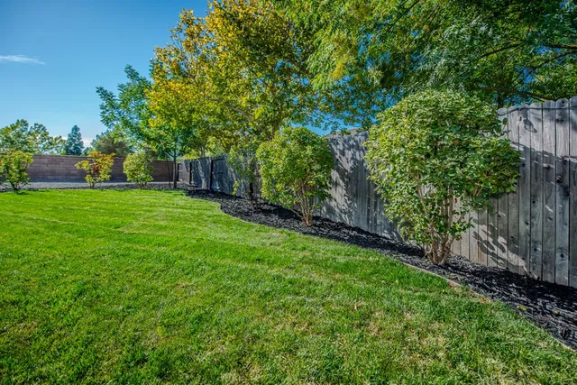 a view of a backyard