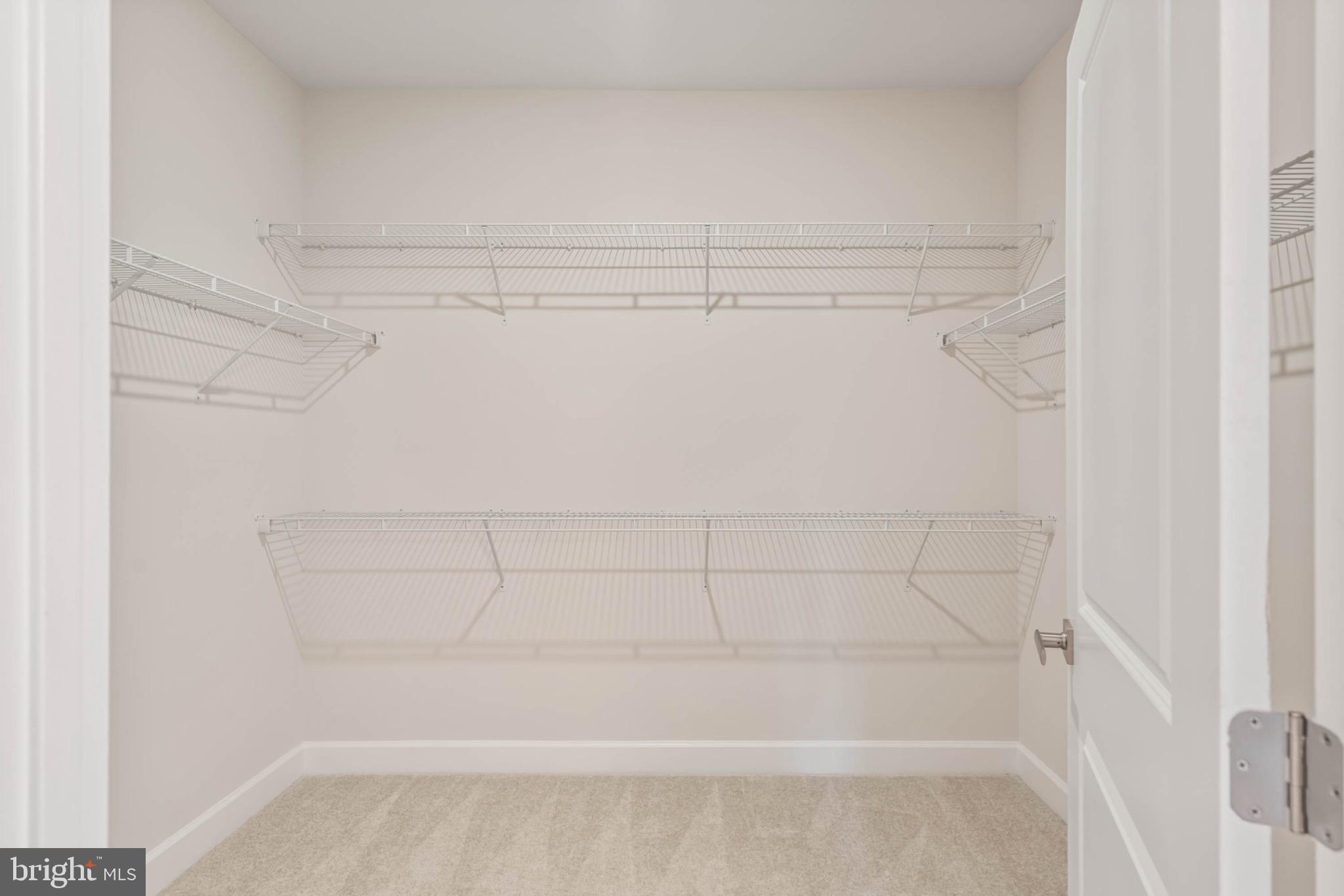 27075 Fieldfare Road Lewes, DE 19958 - Photo 24 of 56 Primary Bedroom Walk-In Closet 2