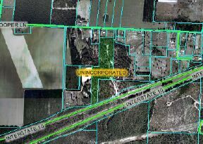 aerial view of a house with a yard and potted plants