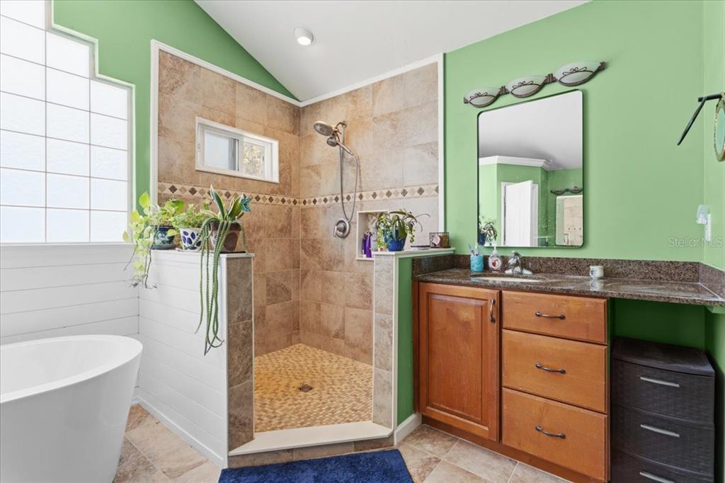 8386 Austin Road Melrose, FL 32666 - Photo 40 of 76 a bathroom with a granite countertop sink a mirror a bathtub and shower