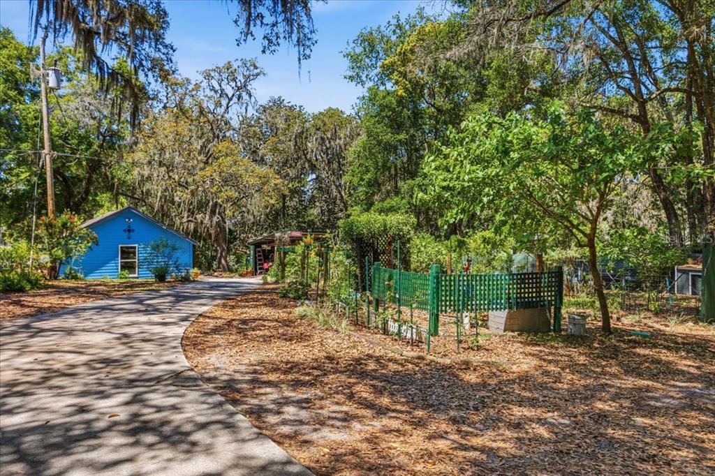 8386 Austin Road Melrose, FL 32666 - Photo 60 of 76