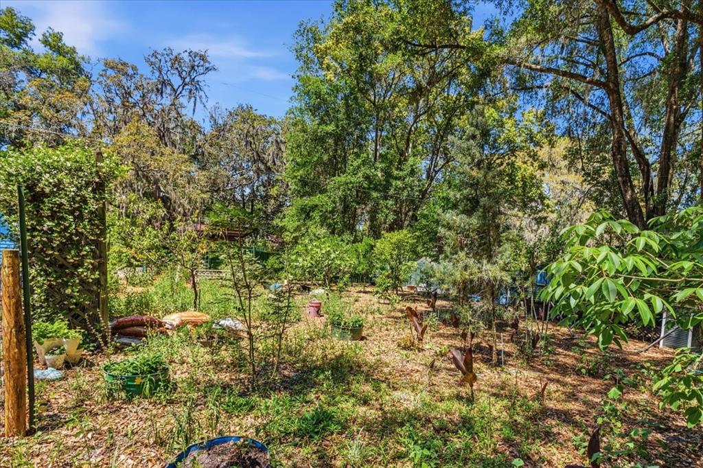 8386 Austin Road Melrose, FL 32666 - Photo 67 of 76