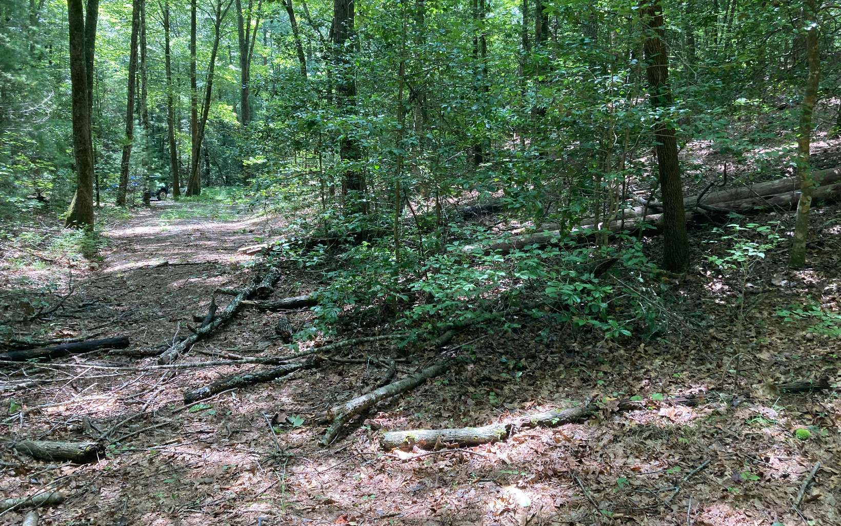 0 Liberty Road Murphy, NC 28906 - Photo 11 of 16 Additional View