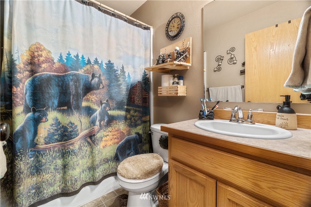 5037 180th Trail Southwest Rochester, WA 98579 - Photo 17 of 38 a bathroom with a sink mirror vanity and toilet