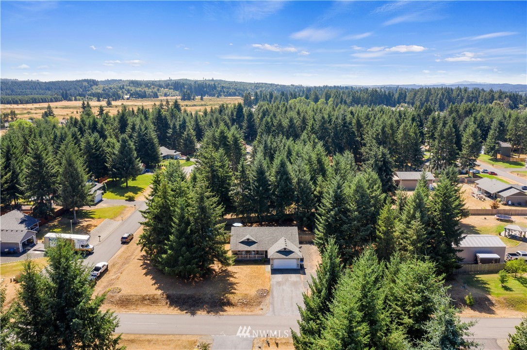 5037 180th Trail Southwest Rochester, WA 98579 - Photo 4 of 38 a view of a lake from a yard