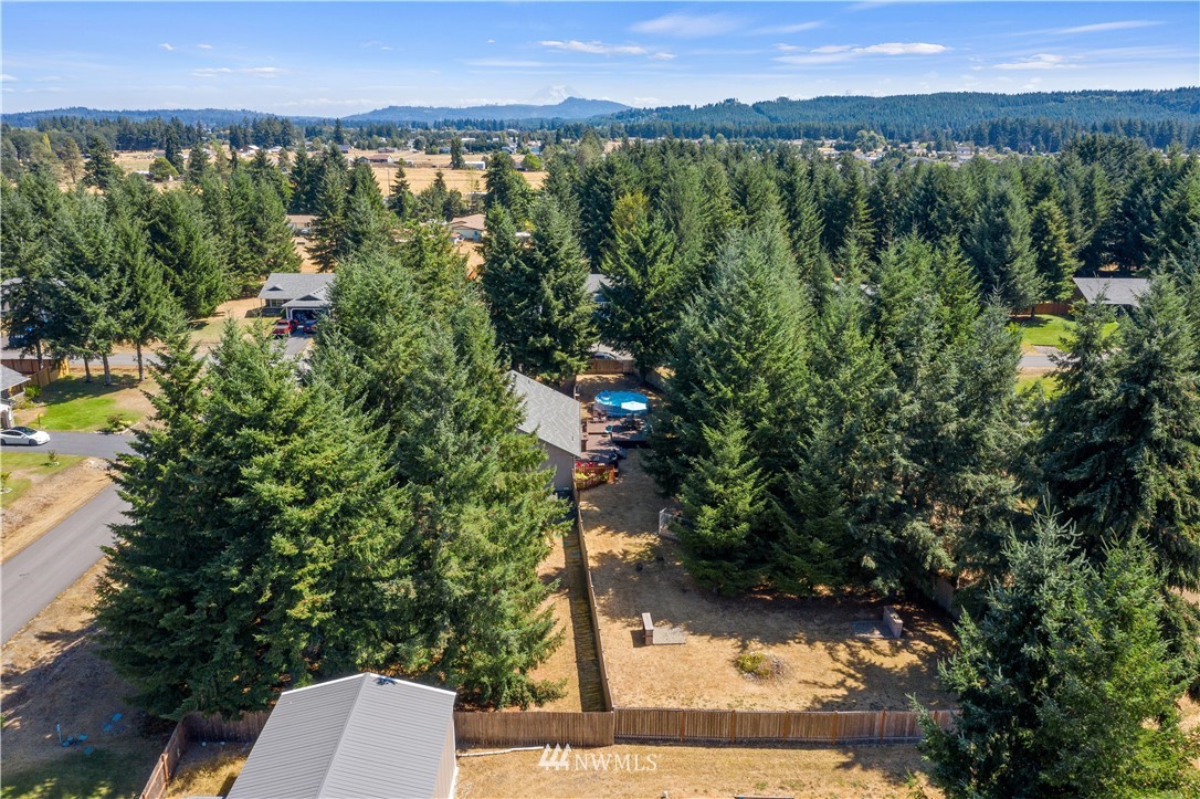 5037 180th Trail Southwest Rochester, WA 98579 - Photo 36 of 38 a view of a city from a yard