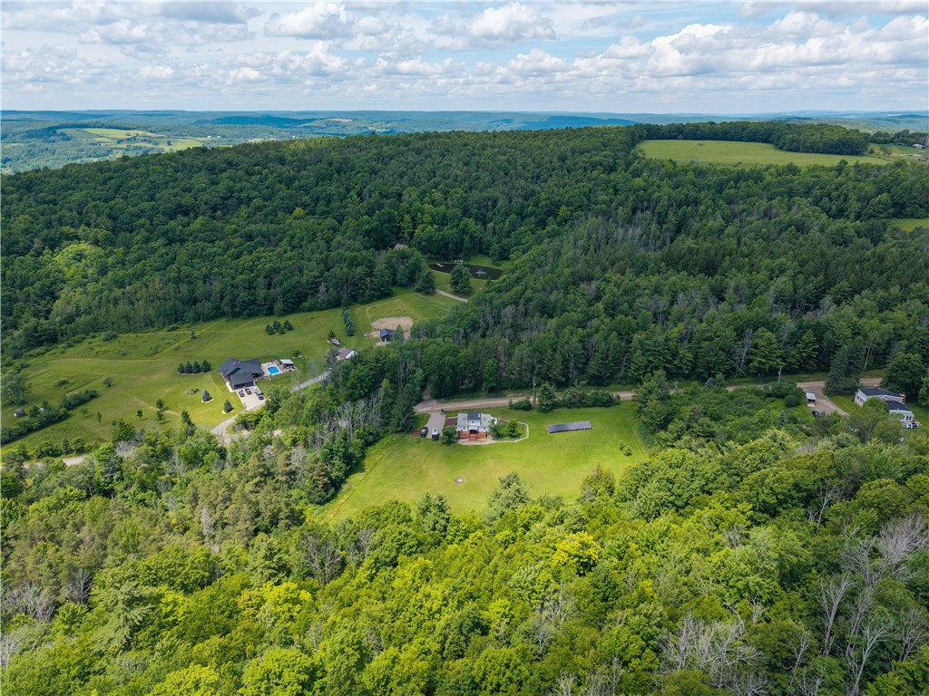 192 Alfred Station Road Hartsville, NY 14803 - Photo 43 of 50