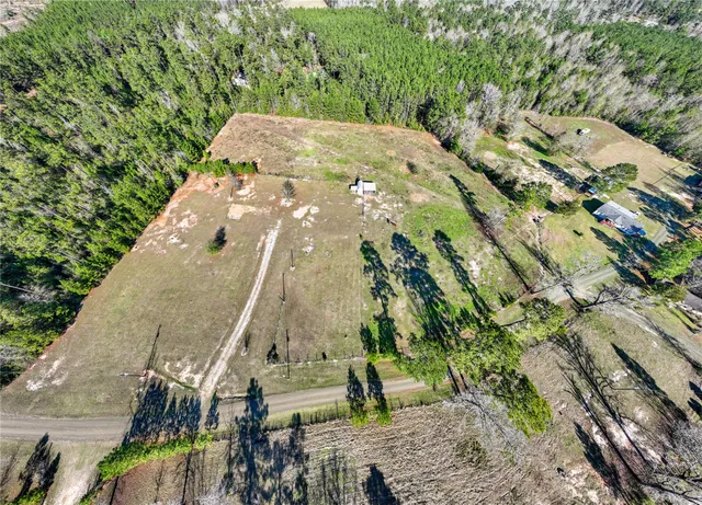 a picture of flowers