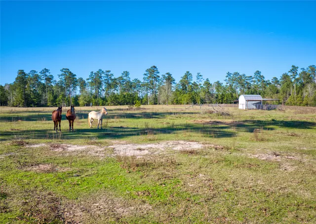 $125,000 | 277 County Road 280, Jasper, TX 75951