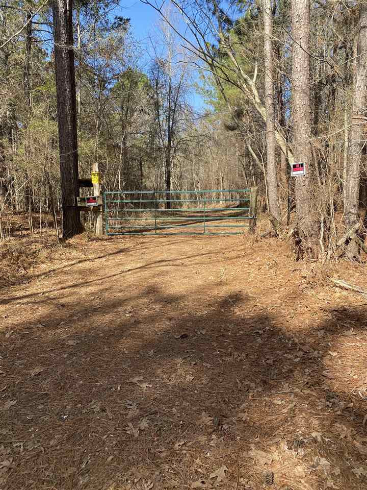 0 Hines Road Utica, MS 39175 - Photo 1 of 15 Photo 1