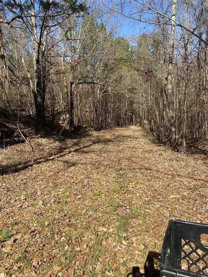0 Hines Road Utica, MS 39175 - Photo 11 of 15 Photo 11