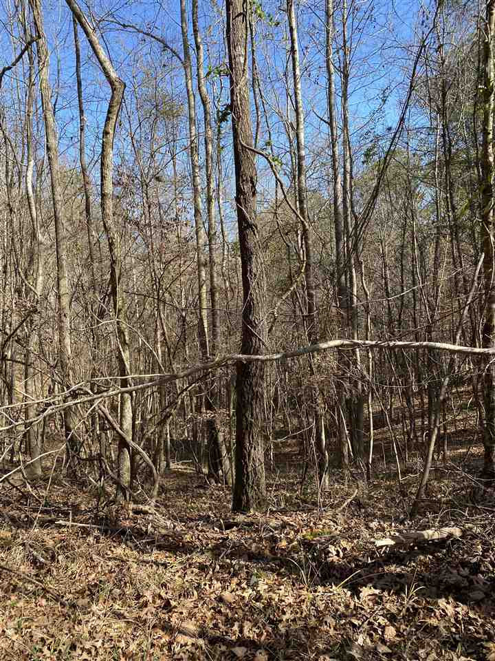 0 Hines Road Utica, MS 39175 - Photo 12 of 15 Photo 12