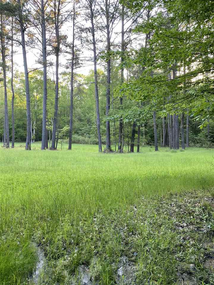 0 Hines Road Utica, MS 39175 - Photo 13 of 15 Photo 13