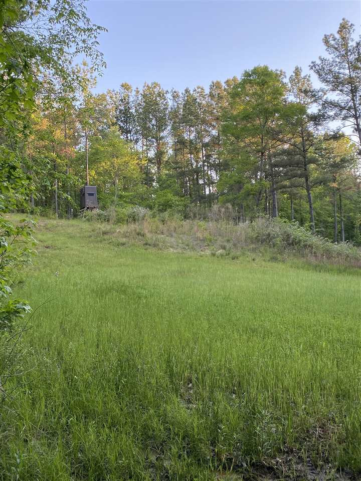 0 Hines Road Utica, MS 39175 - Photo 14 of 15 Photo 14