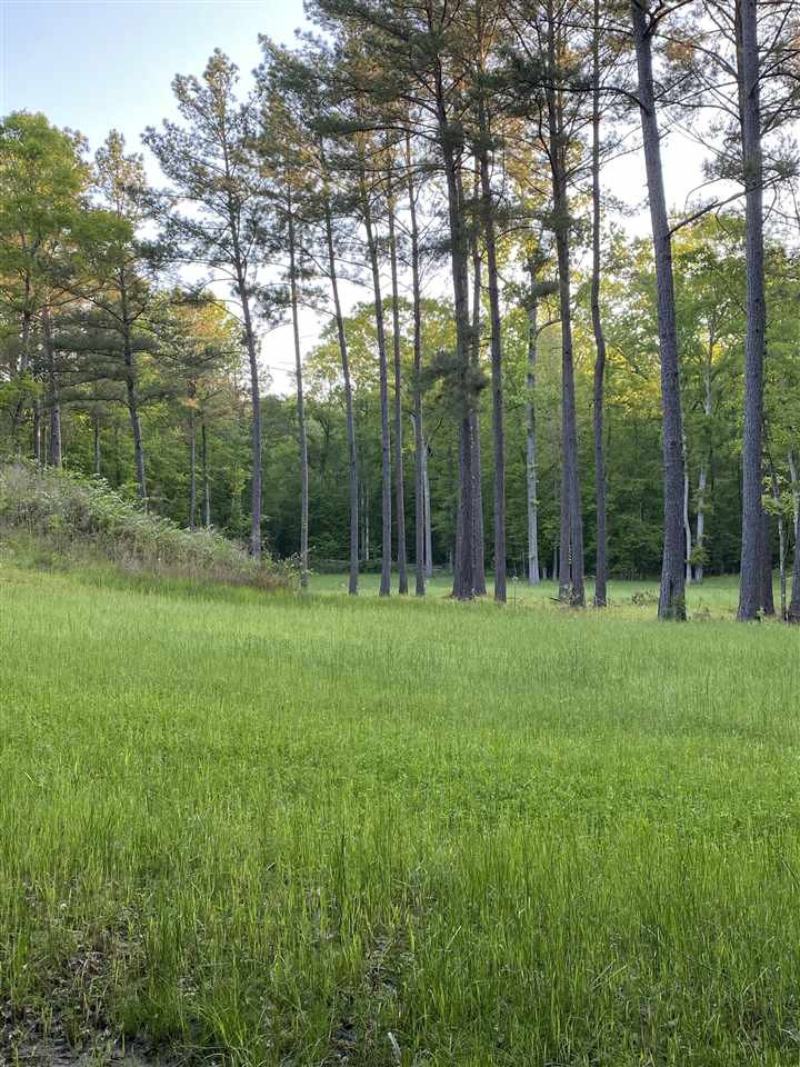 0 Hines Road Utica, MS 39175 - Photo 15 of 15 Photo 15