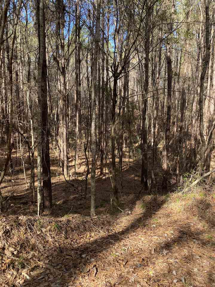 0 Hines Road Utica, MS 39175 - Photo 2 of 15 Photo 2