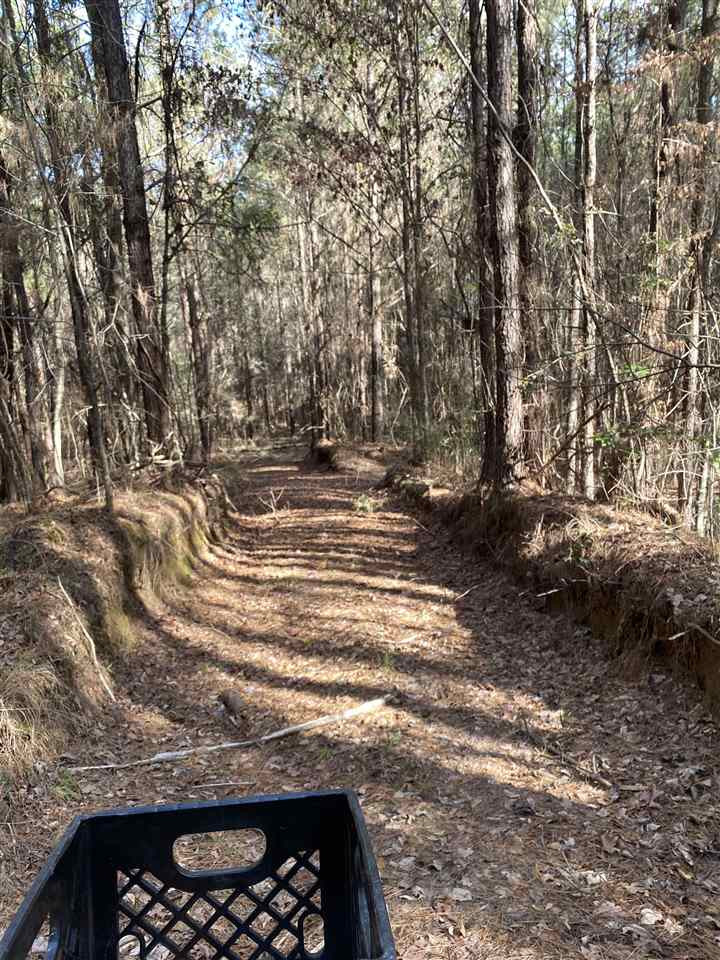 0 Hines Road Utica, MS 39175 - Photo 3 of 15 Photo 3