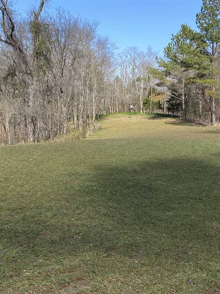 0 Hines Road Utica, MS 39175 - Photo 4 of 15 Photo 4