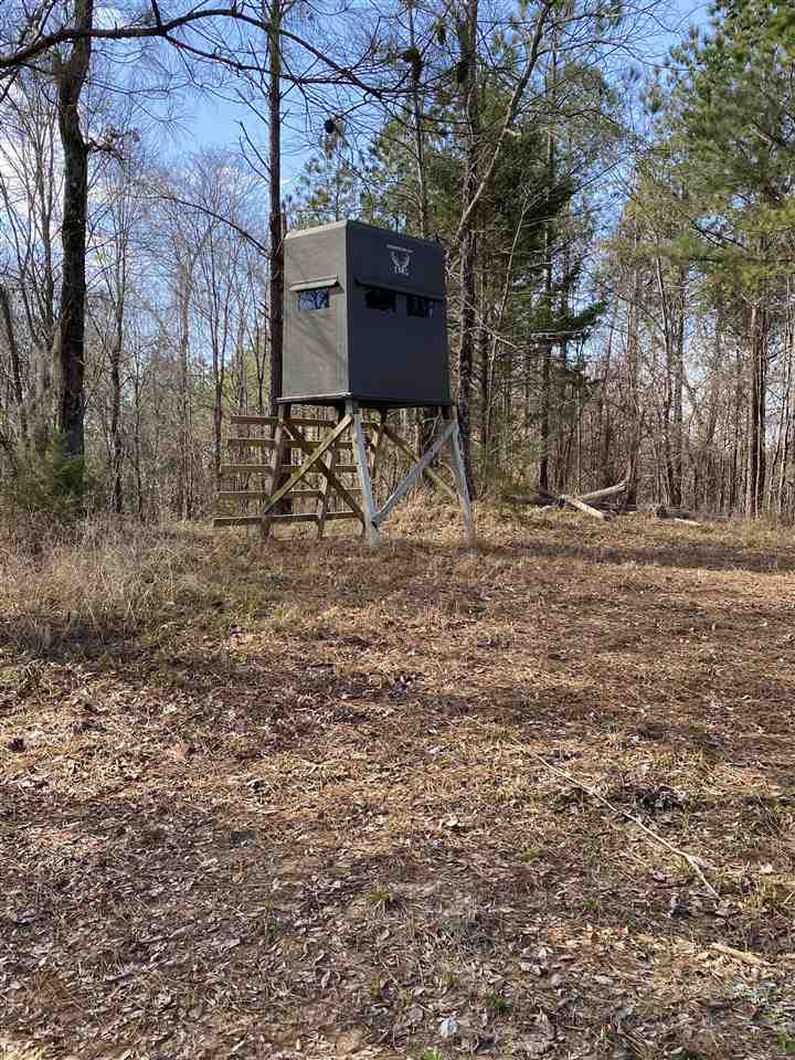 0 Hines Road Utica, MS 39175 - Photo 5 of 15 Photo 5