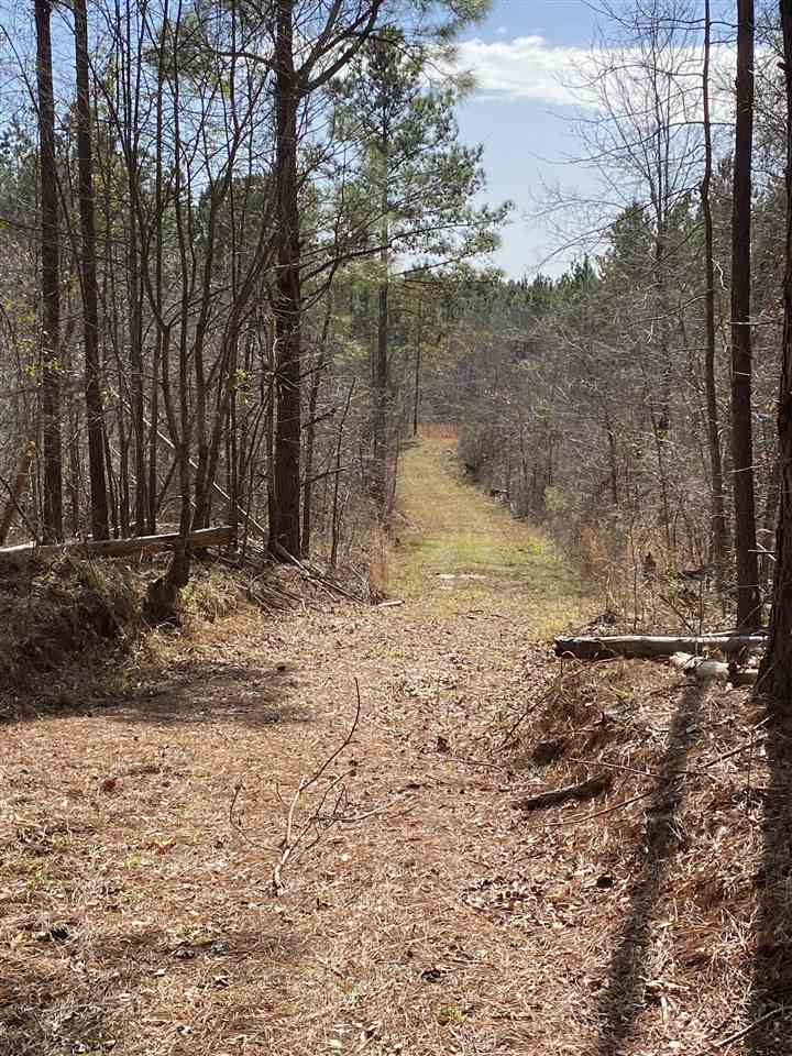 0 Hines Road Utica, MS 39175 - Photo 6 of 15 Photo 6
