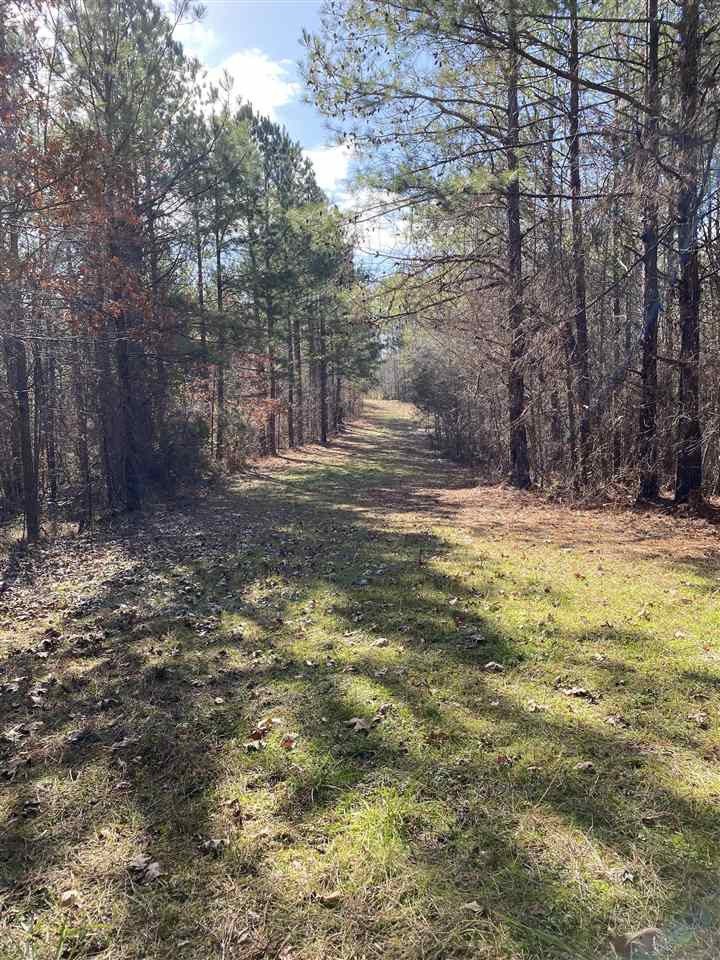 0 Hines Road Utica, MS 39175 - Photo 7 of 15 Photo 7