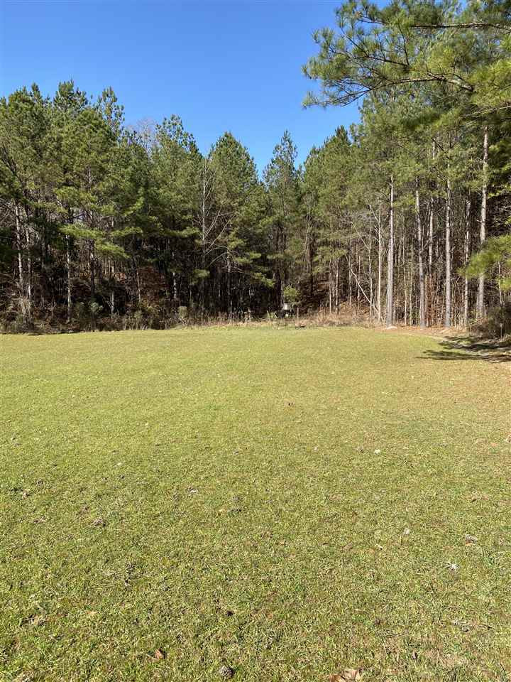 0 Hines Road Utica, MS 39175 - Photo 9 of 15 Photo 9