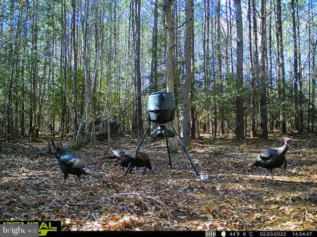 Eby Road Princess Anne, MD 21853 - Photo 10 of 10