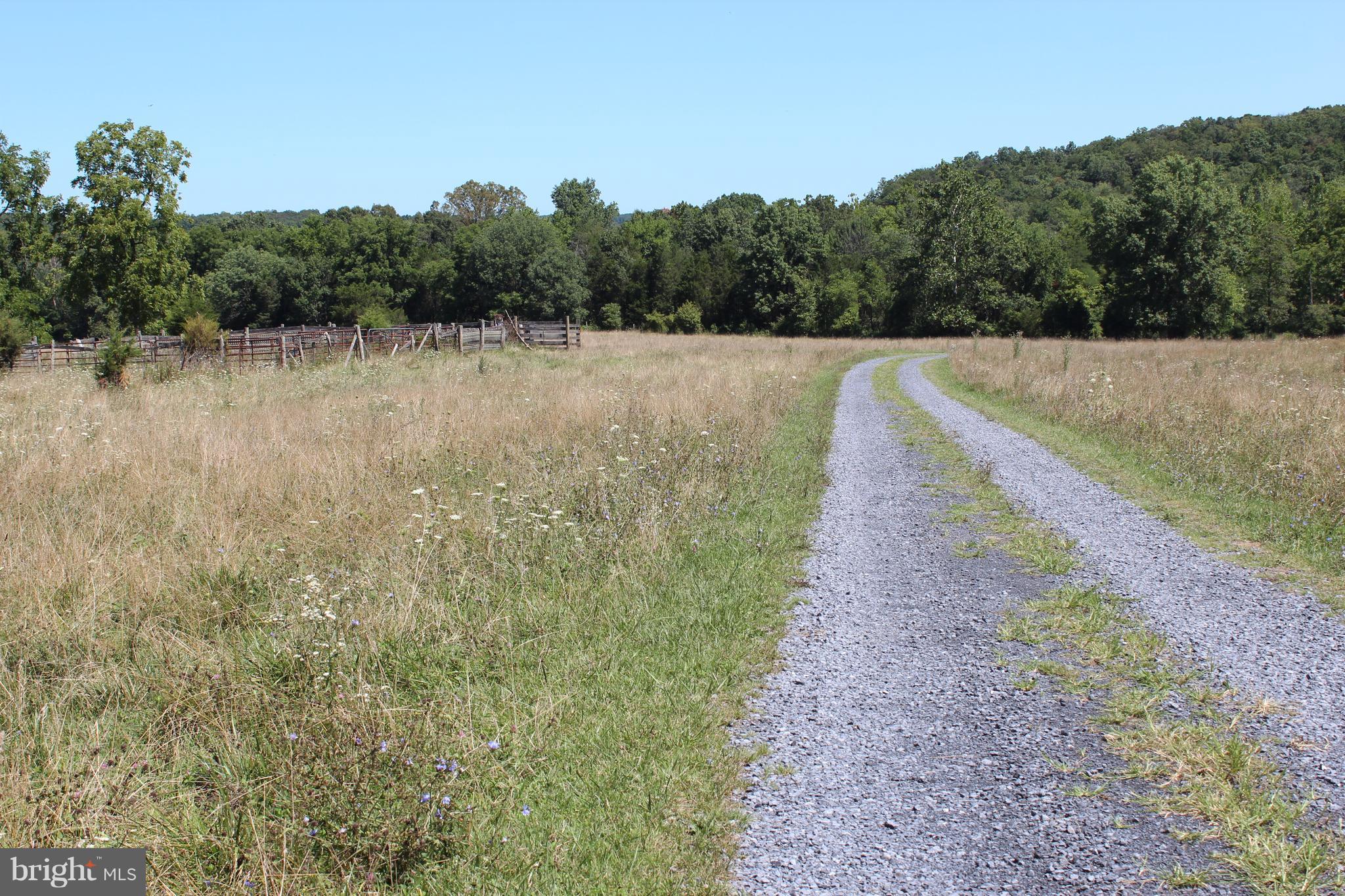 12 Cattle Crossing Road Front Royal, VA 22630 - Photo 1 of 23 a view of a dry yard with a tree
