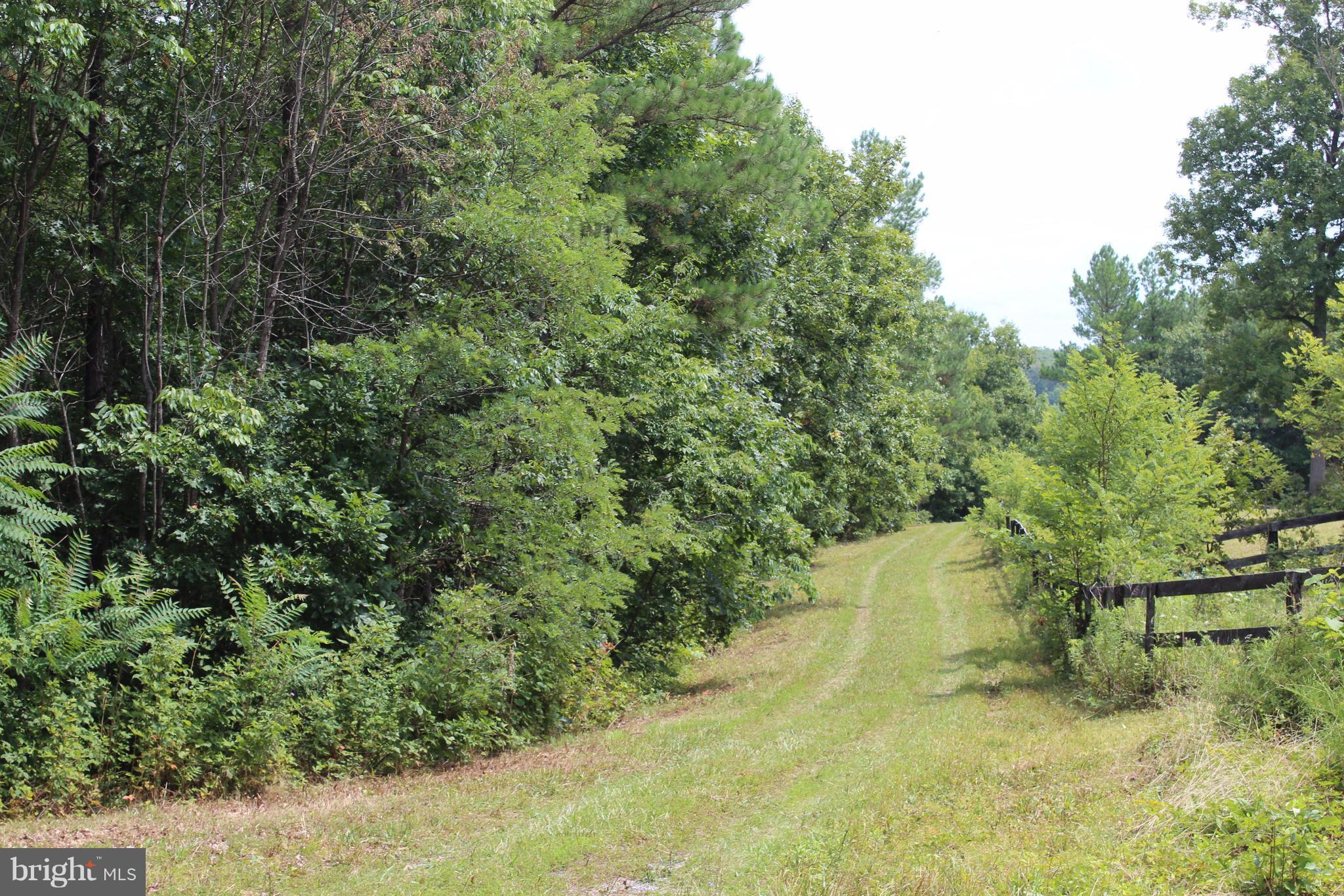 12 Cattle Crossing Road Front Royal, VA 22630 - Photo 15 of 23 a view of a yard with a tree