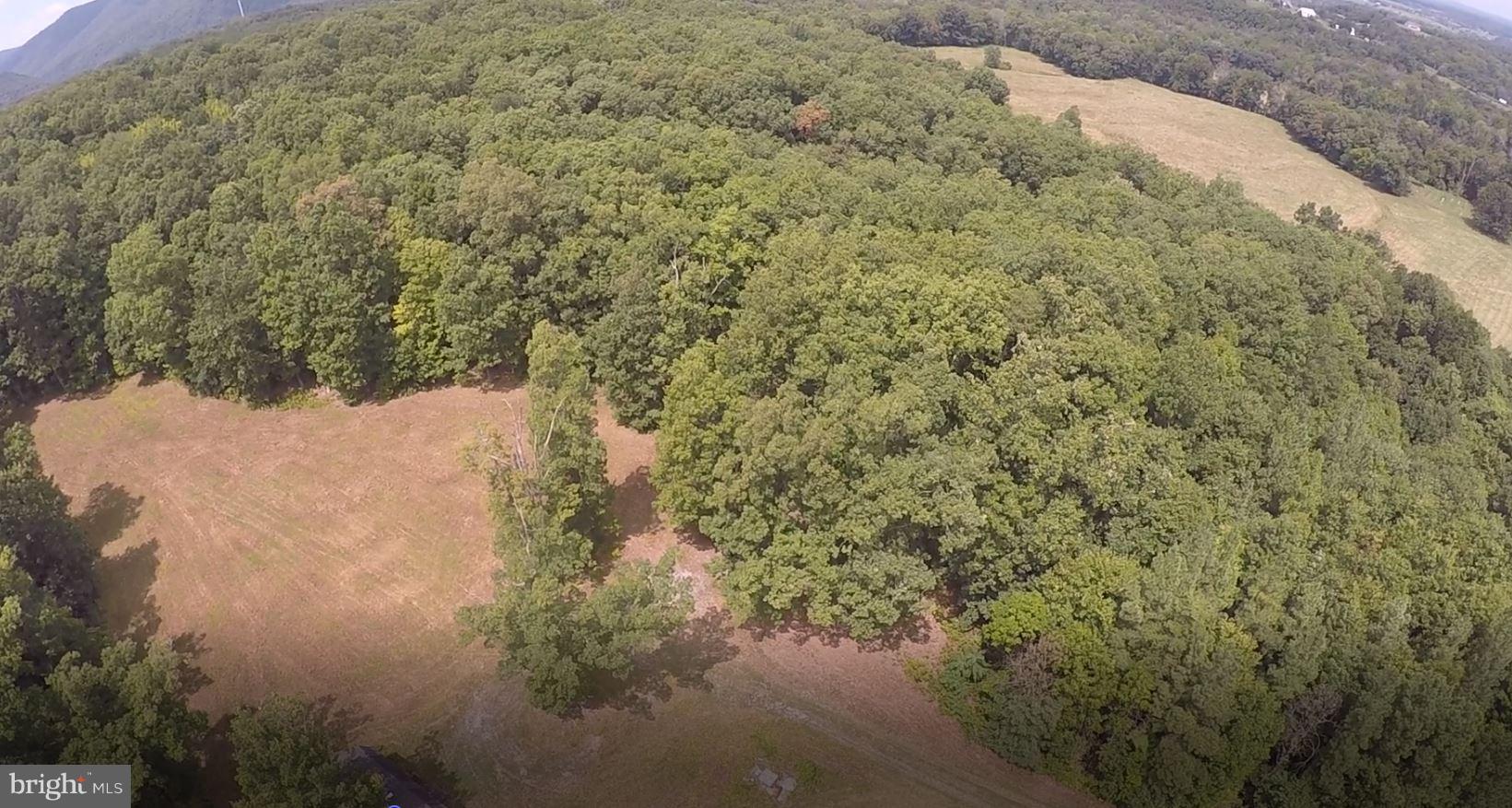 12 Cattle Crossing Road Front Royal, VA 22630 - Photo 16 of 23 a view of a yard with a tree