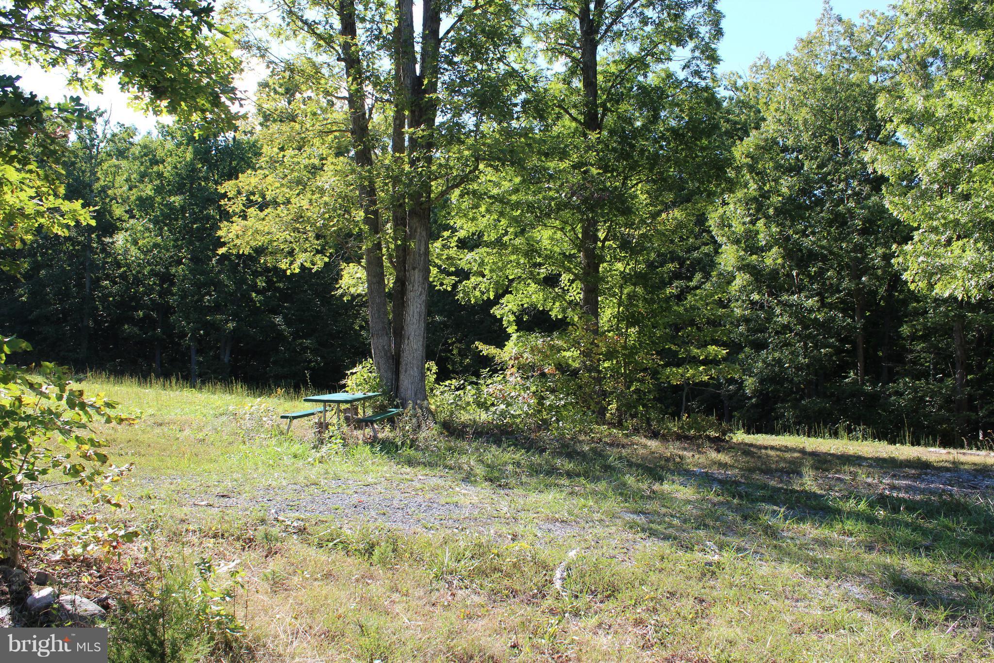 12 Cattle Crossing Road Front Royal, VA 22630 - Photo 6 of 23 a view of outdoor space and yard