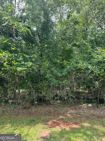 a view of a yard with trees